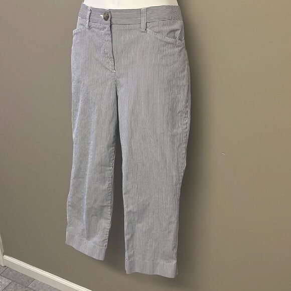 Land’s End Blue and White Vertical Striped Fit 2 Cropped Cotton Blend Pants- Siz - Picture 2 of 13